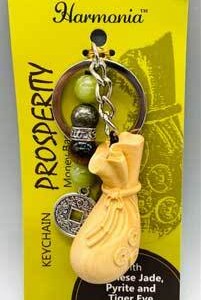 Money Bag keychain