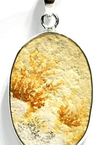 Russian Dendritic Agate pendant