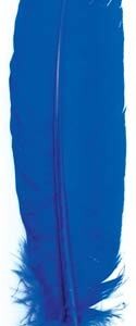 (set of 10) Blue feather 12"