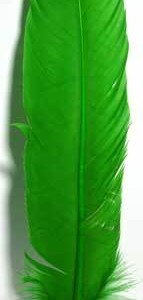(set of 10) Green feather 12"