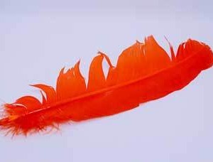 Orange feather 12"