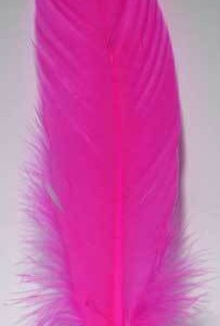 (set of 10) Pink feather 12"