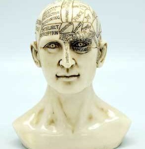 6" Phrenology Head
