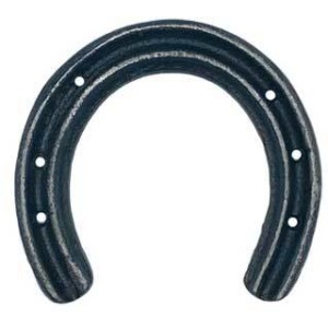 Good Luck Horseshoe