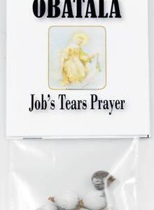 Job's Tears (seeds)