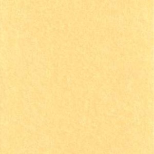 Light Parchment 5 Pack (8 1/2" x 11")
