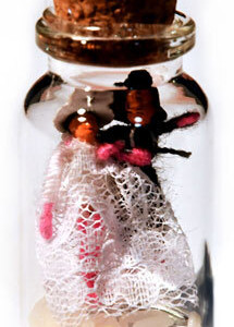 Wedding Binding Dolls spellbottle