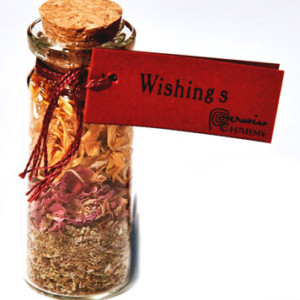 Wishing pocket spellbottle
