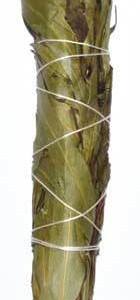 4" Eucalyptus Citridora smudge stick