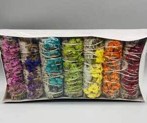 4" 7 Color Sinuata White Sage gift pack