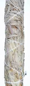 9" White Sage smudge stick