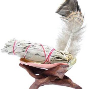 White Sage Kit smudge