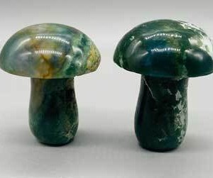 (set of 2) 1 3/4" Mushroom Moss Agate