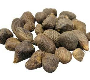 1# Ikin 3 Eyes (Palm Oil Seed)